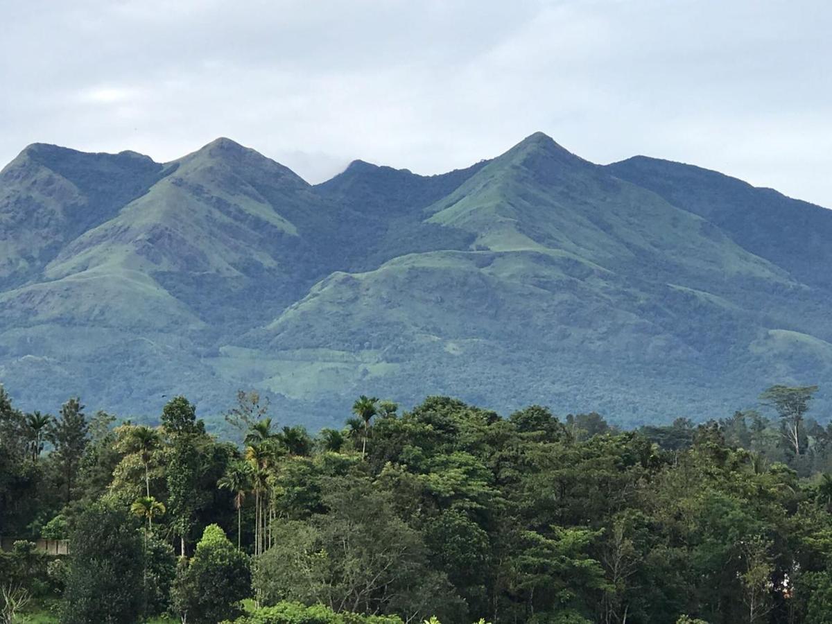 Western Ghats 3* Kalpetta