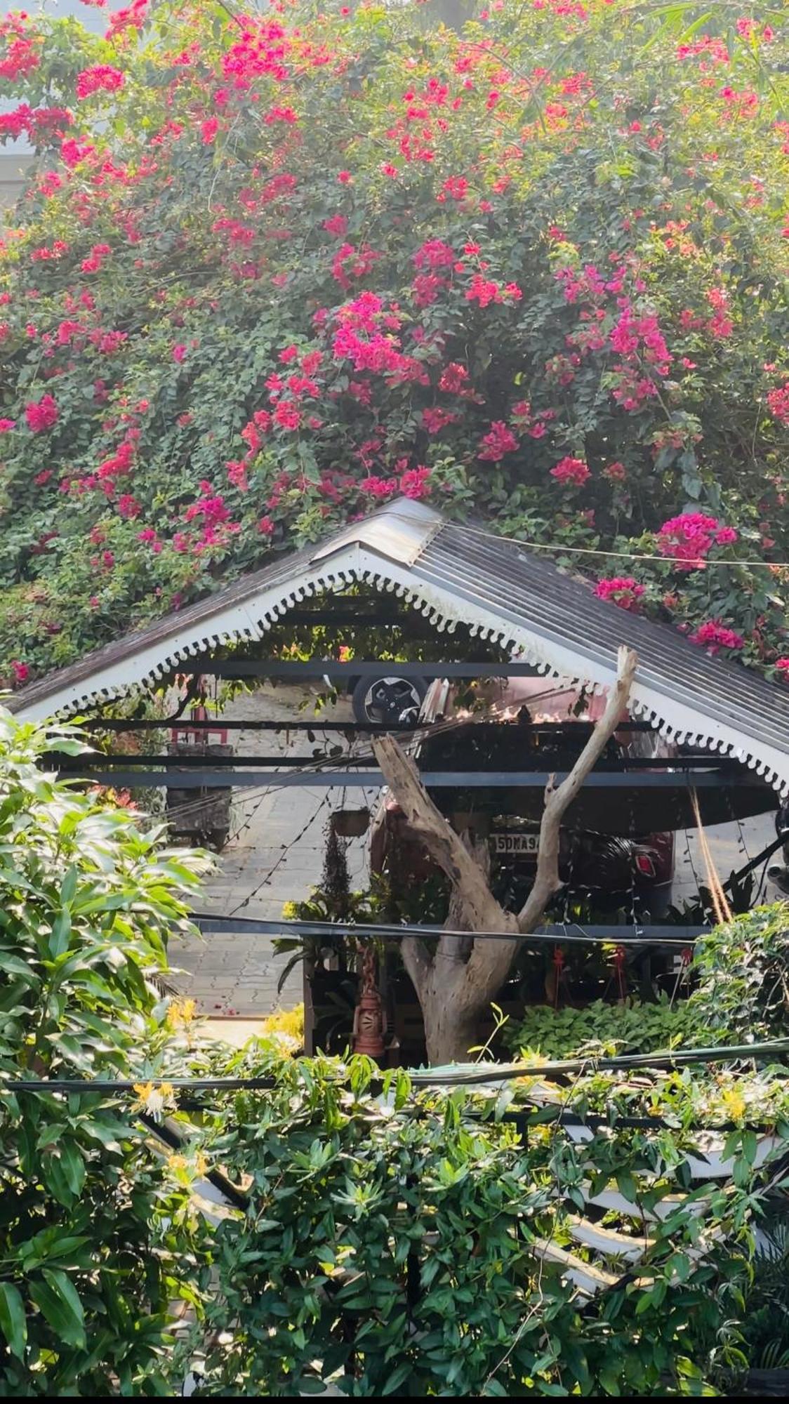Western Ghats Kalpetta